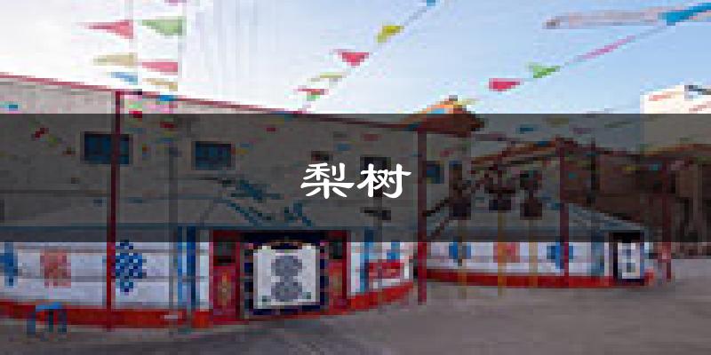 梨树天气预报未来一周
