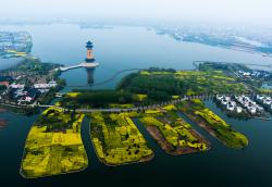 千岛油菜花景区天气未来一周