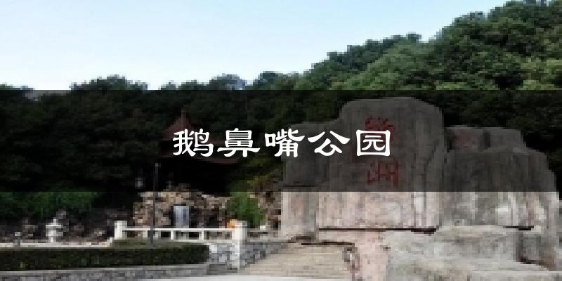 鹅鼻嘴公园气温