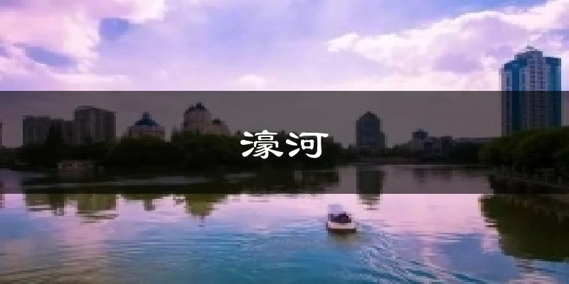 濠河天气未来15天