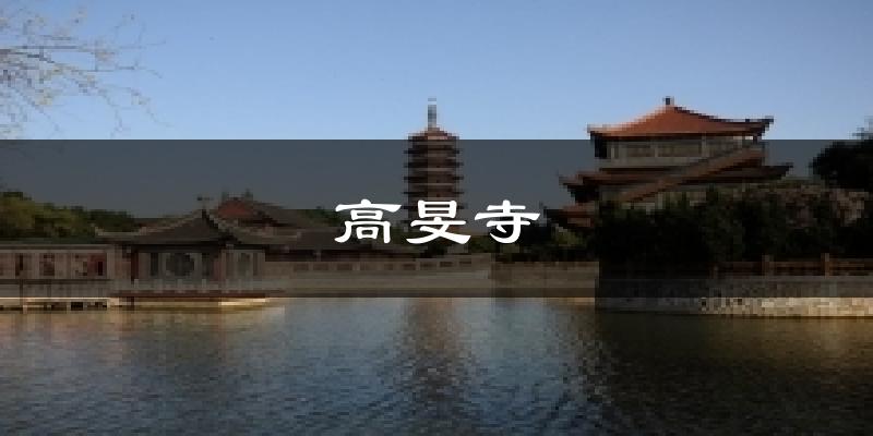 高旻寺气温