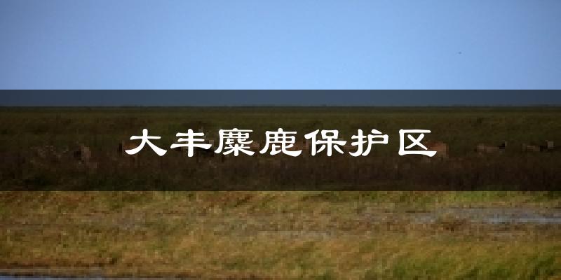 大丰麋鹿保护区气温