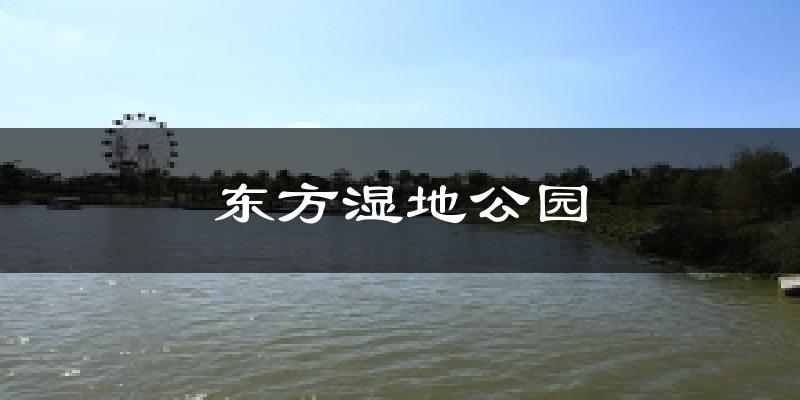 东方湿地公园天气未来15天