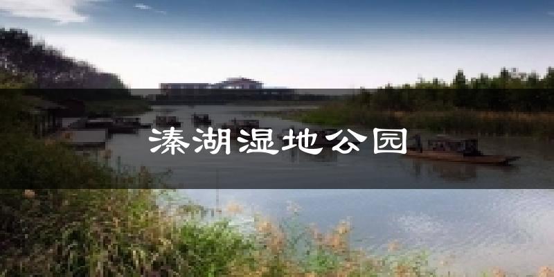 溱湖湿地公园天气未来15天