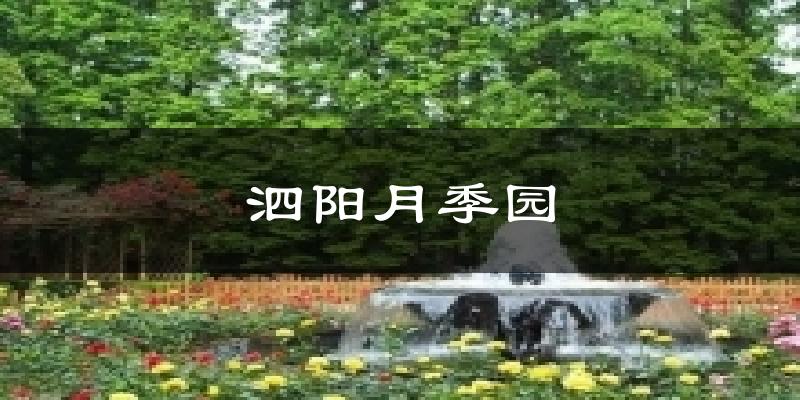 泗阳月季园天气未来15天